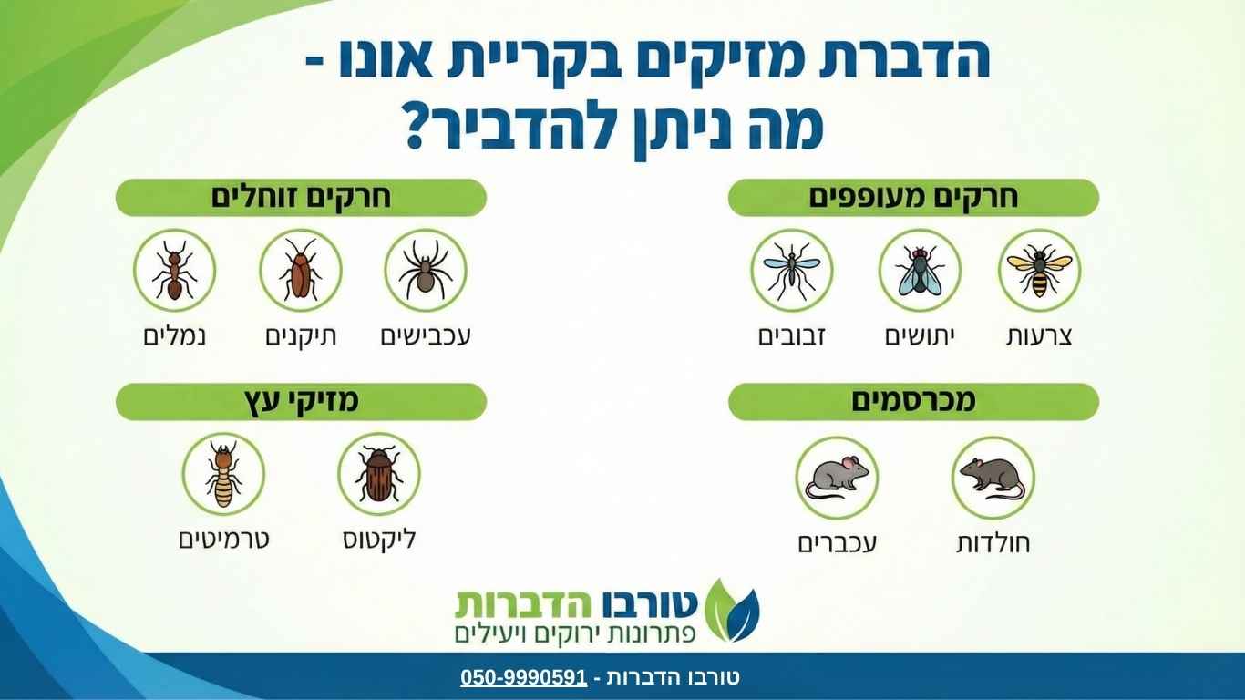 אילו מזיקים וחרקים אפשר להדביר בקריית אונו אילו מזיקים וחרקים אפשר להדביר בקריית אונו