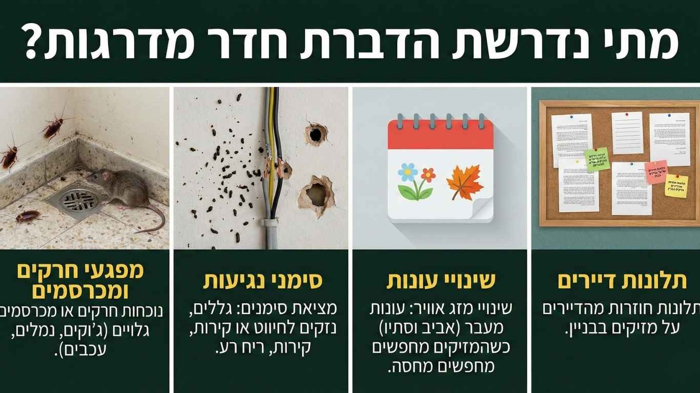 מתי נדרשת הדברת חדר מדרגות מתי נדרשת הדברת חדר מדרגות